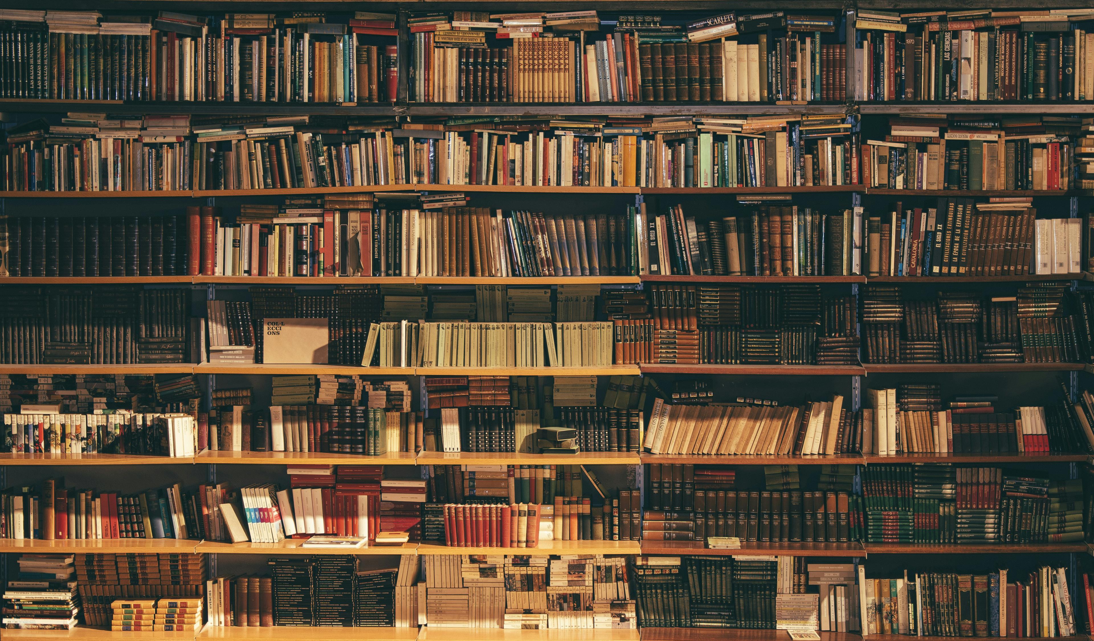 A wall of shelved books