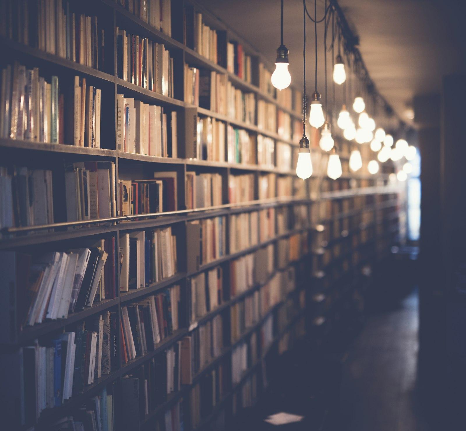 A long library wall of shelved books lit by a row of hanging bulbs